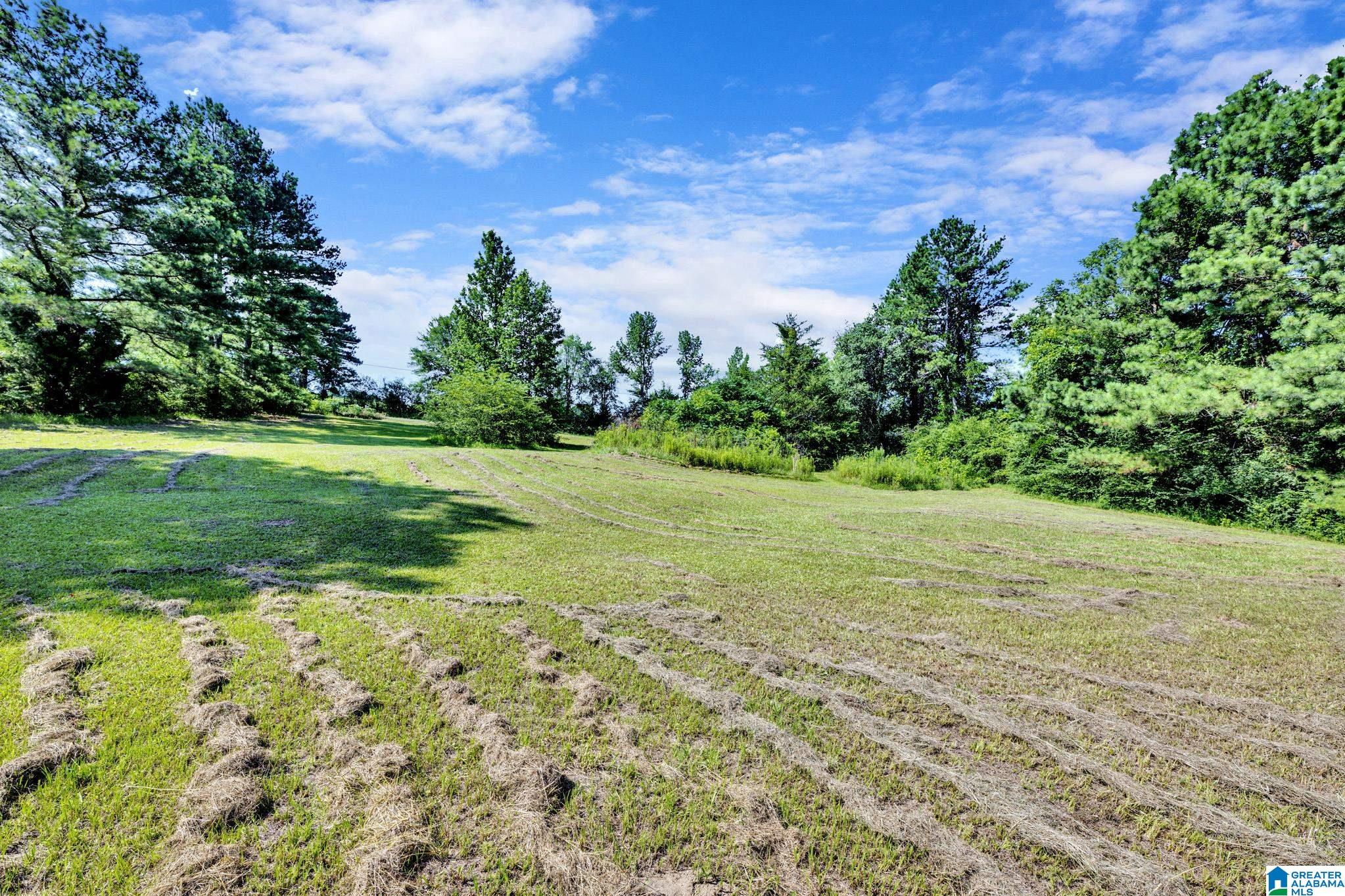 395 Hollingsworth Road Cleveland, AL 35049 - Photo 8 of 27