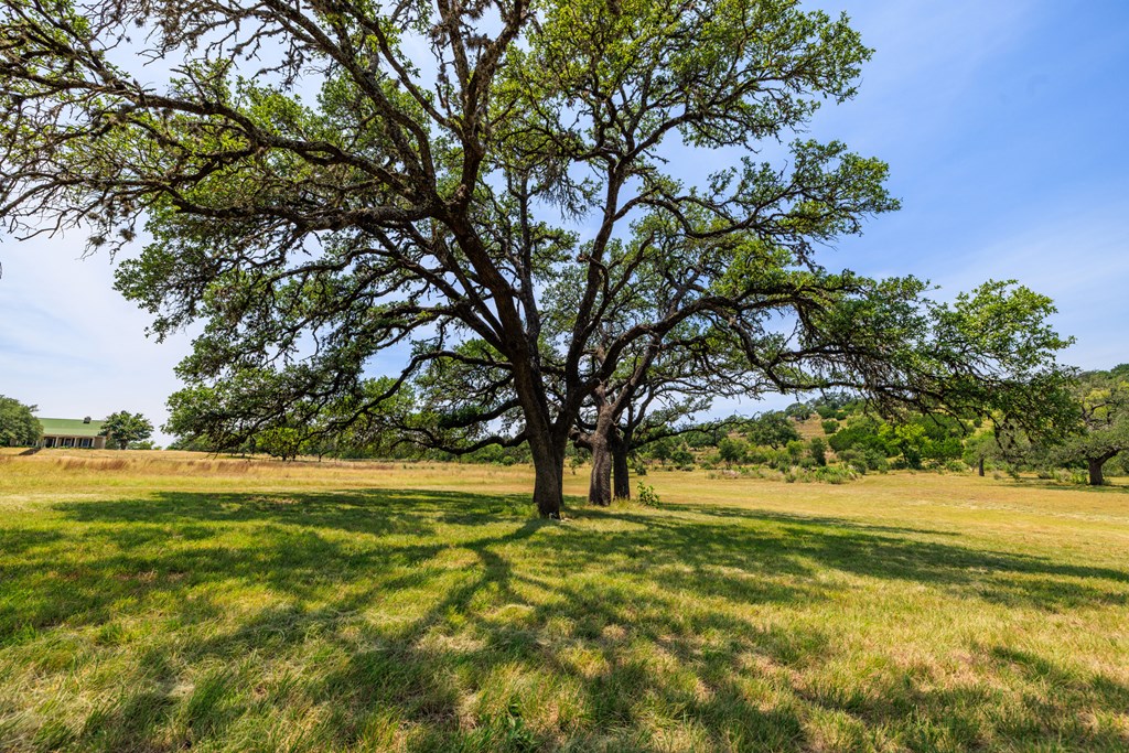 0 Paradise Ranch Road, Unit 12A Fredericksburg, TX 78624 - Photo 12 of 51