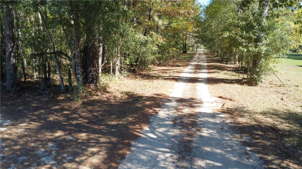55174 Hano Road Independence, LA 70443 - Photo 2 of 27