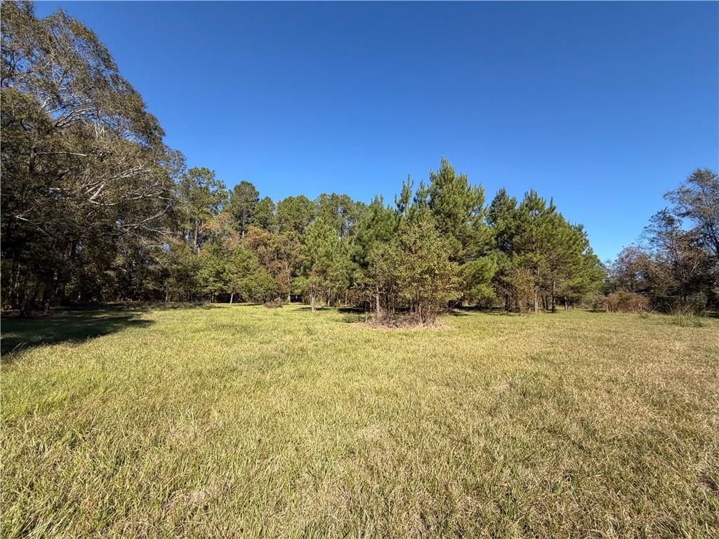 55174 Hano Road Independence, LA 70443 - Photo 26 of 27