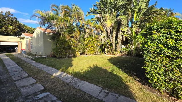 a view of yard with tree in back