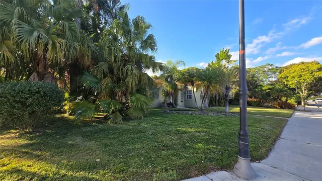 a view of a park with a tree