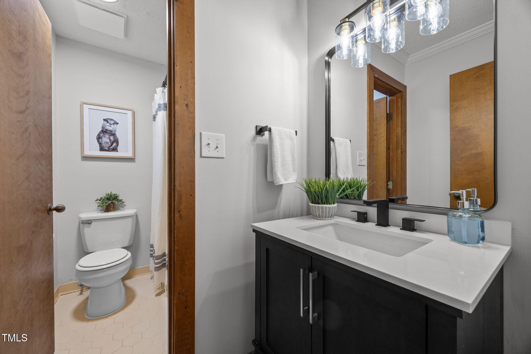 2508 Village Grove Road Raleigh, NC 27613 - Photo 20 of 36 a bathroom with a toilet sink and mirror