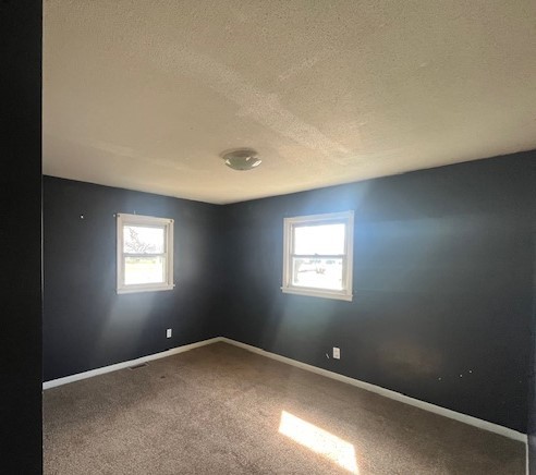 3915 Neeley Avenue Decatur, IL 62526 - Photo 8 of 19 a view of an empty room and window