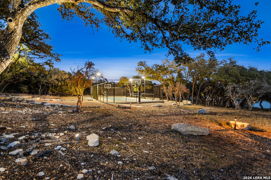 292 Fossil Ridge Boerne, TX 78006 - Photo 123 of 144 a view of dirt yard with a large tree