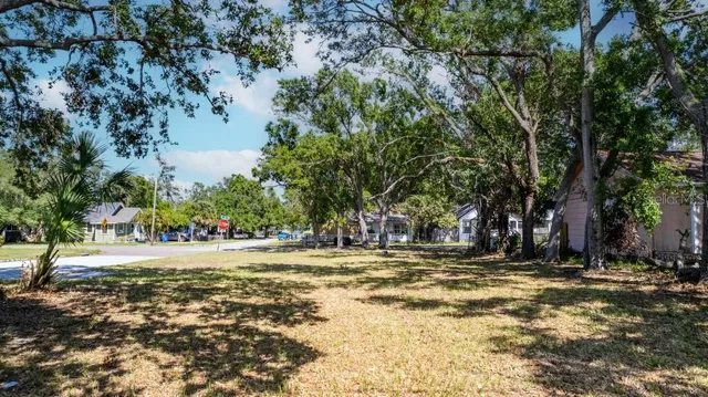 a view of dirt yard with a large tree
