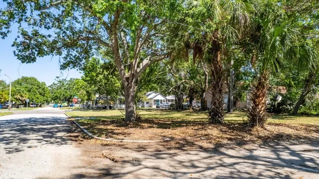a view of a yard with a tree