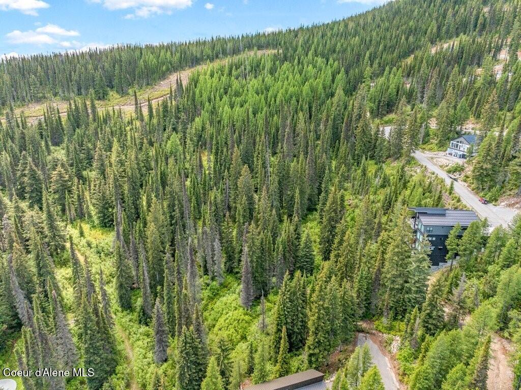B2 L5 Mogul Hill Road Sandpoint, ID 83864 - Photo 11 of 60 End of Road Location