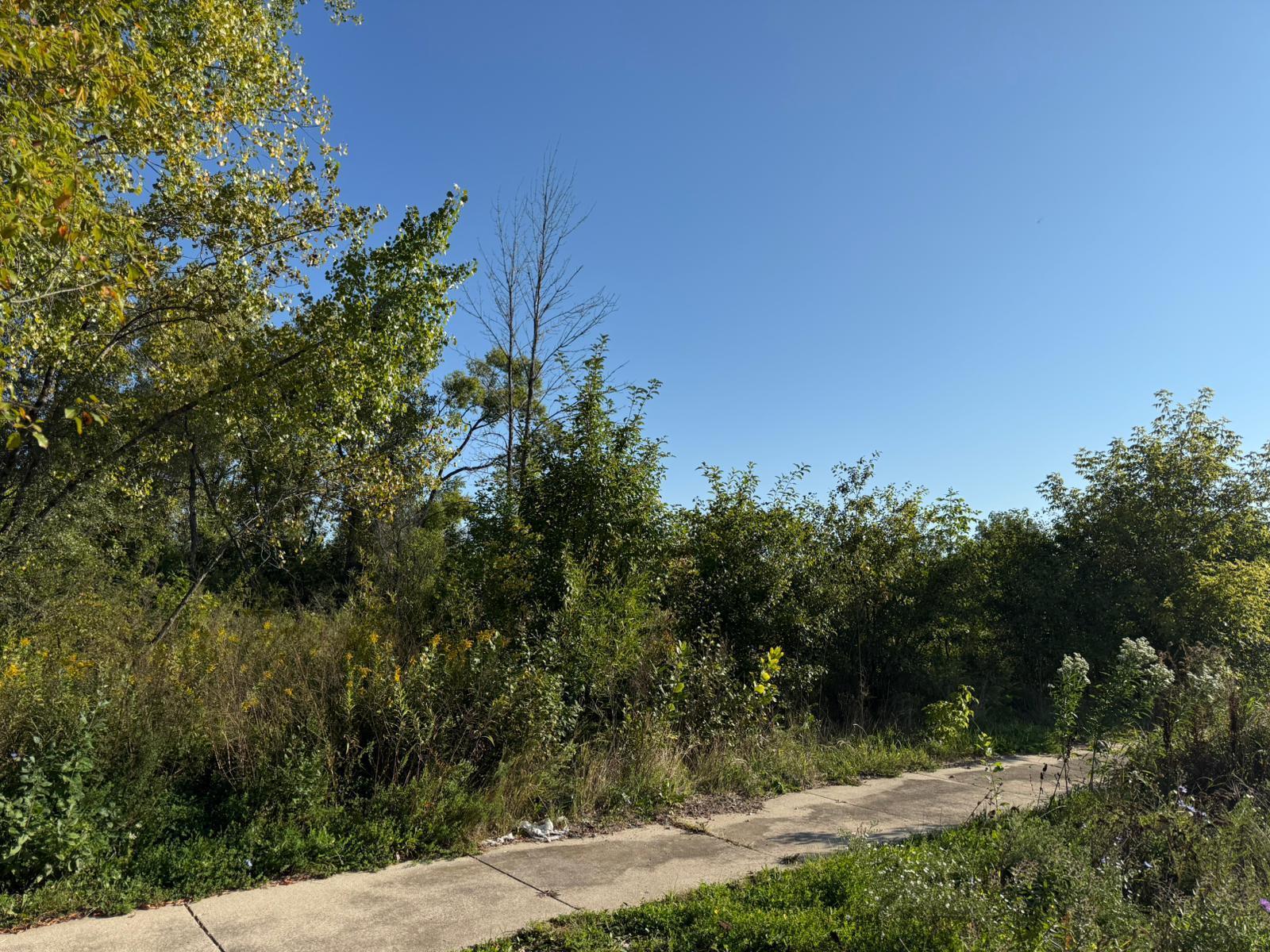 9622 West Allyn Street Milwaukee, WI 53224 - Photo 4 of 4 Vacant Land