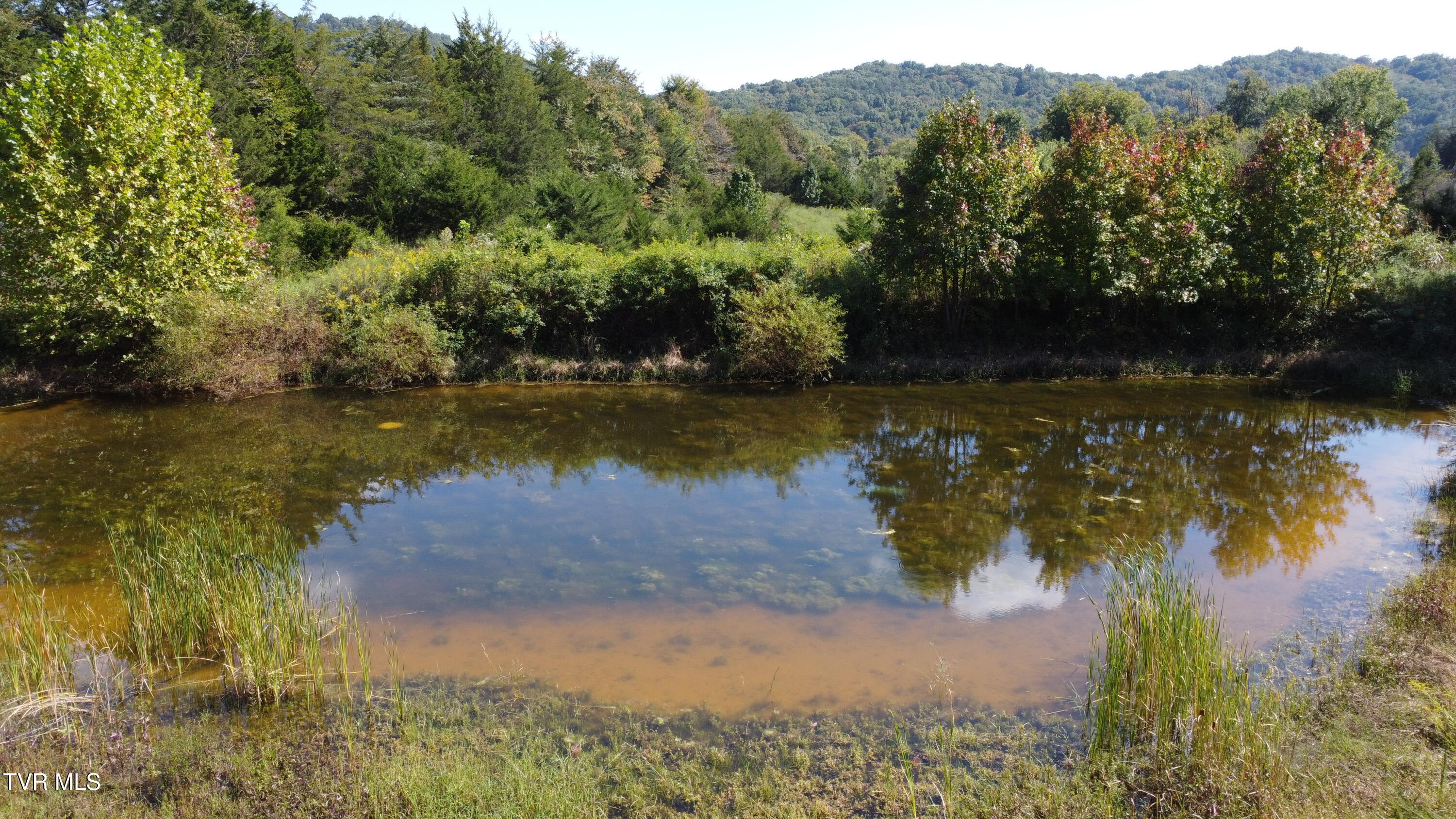 231 Guthries Gap Road Bulls Gap, TN 37711 - Photo 45 of 70 DJI_0040