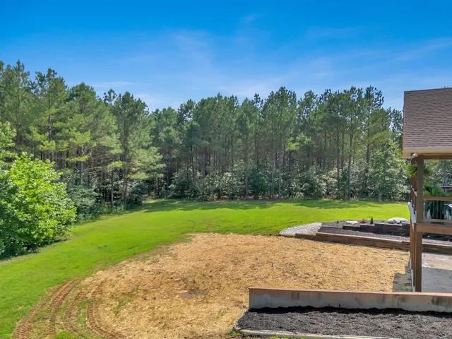 a view of a forest with trees