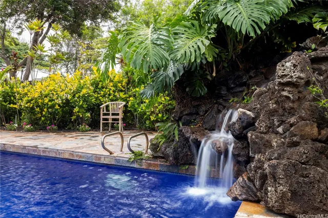 a view of a backyard with plants and trees