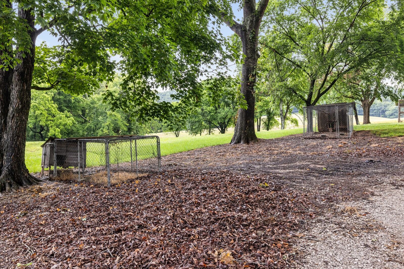 380 Webbs Camp Road Walling, TN 38587 - Photo 62 of 91