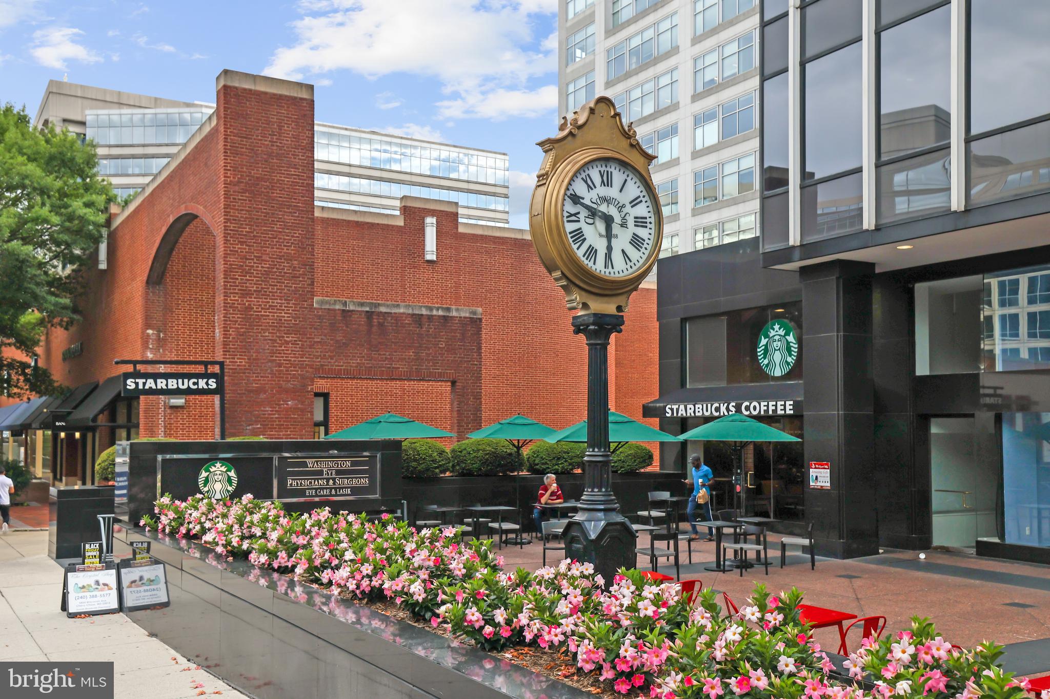 4817 Chevy Chase Boulevard Chevy Chase, MD 20815 - Photo 74 of 78 a front view of a building with lots of flowers and trees