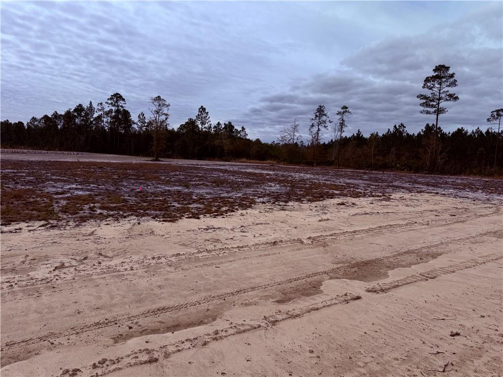 Lot 11 Wiregrass Lane, Unit 11 Waycross, GA 31503 - Photo 2 of 6 Photo 2