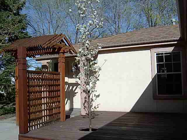 1980 Lassen Drive Reno, NV 89503 - Photo 8 of 9 Photo 8