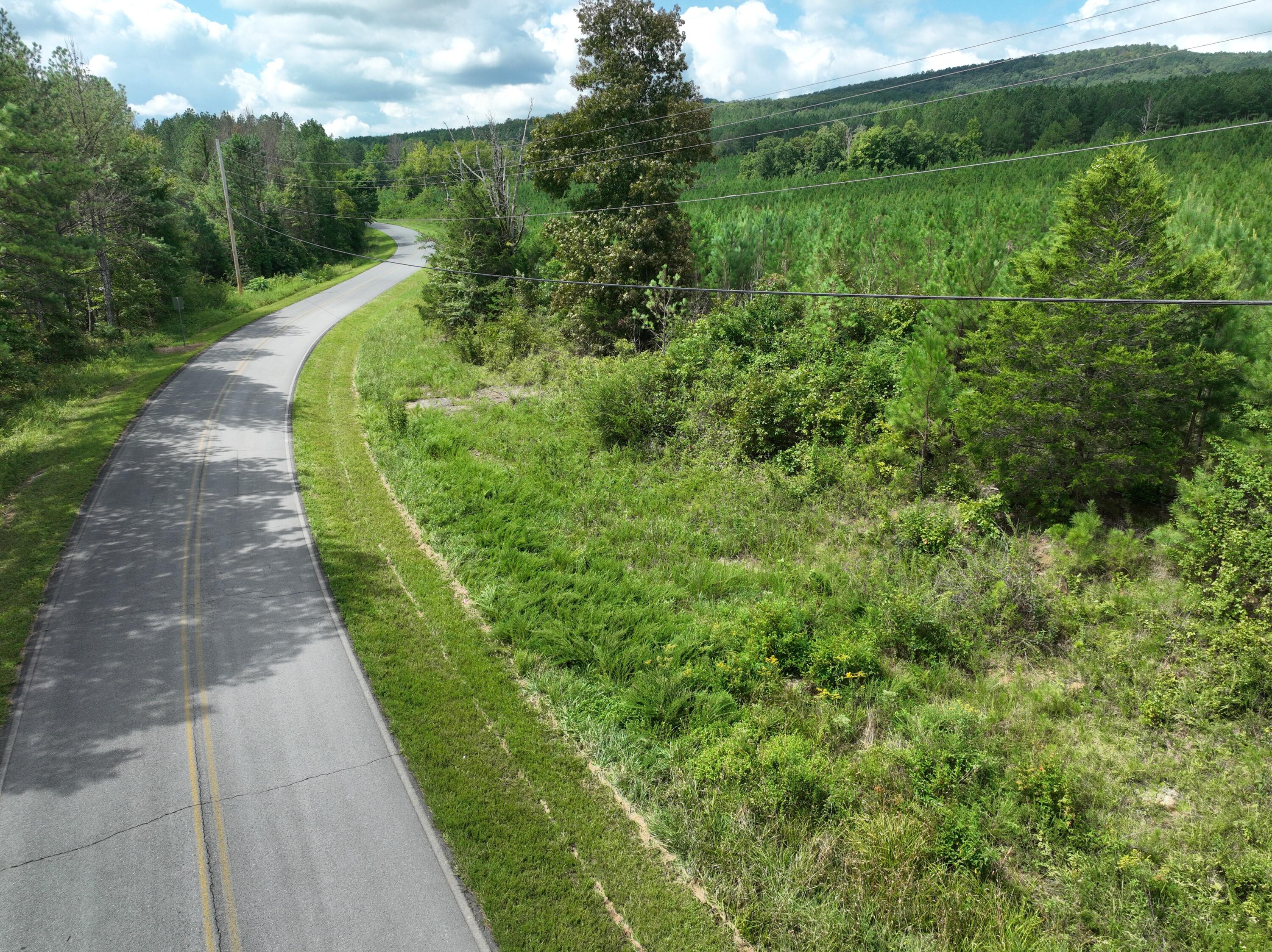 0 Houston Valley Road Ringgold, GA 30736 - Photo 11 of 11 DJI_0421