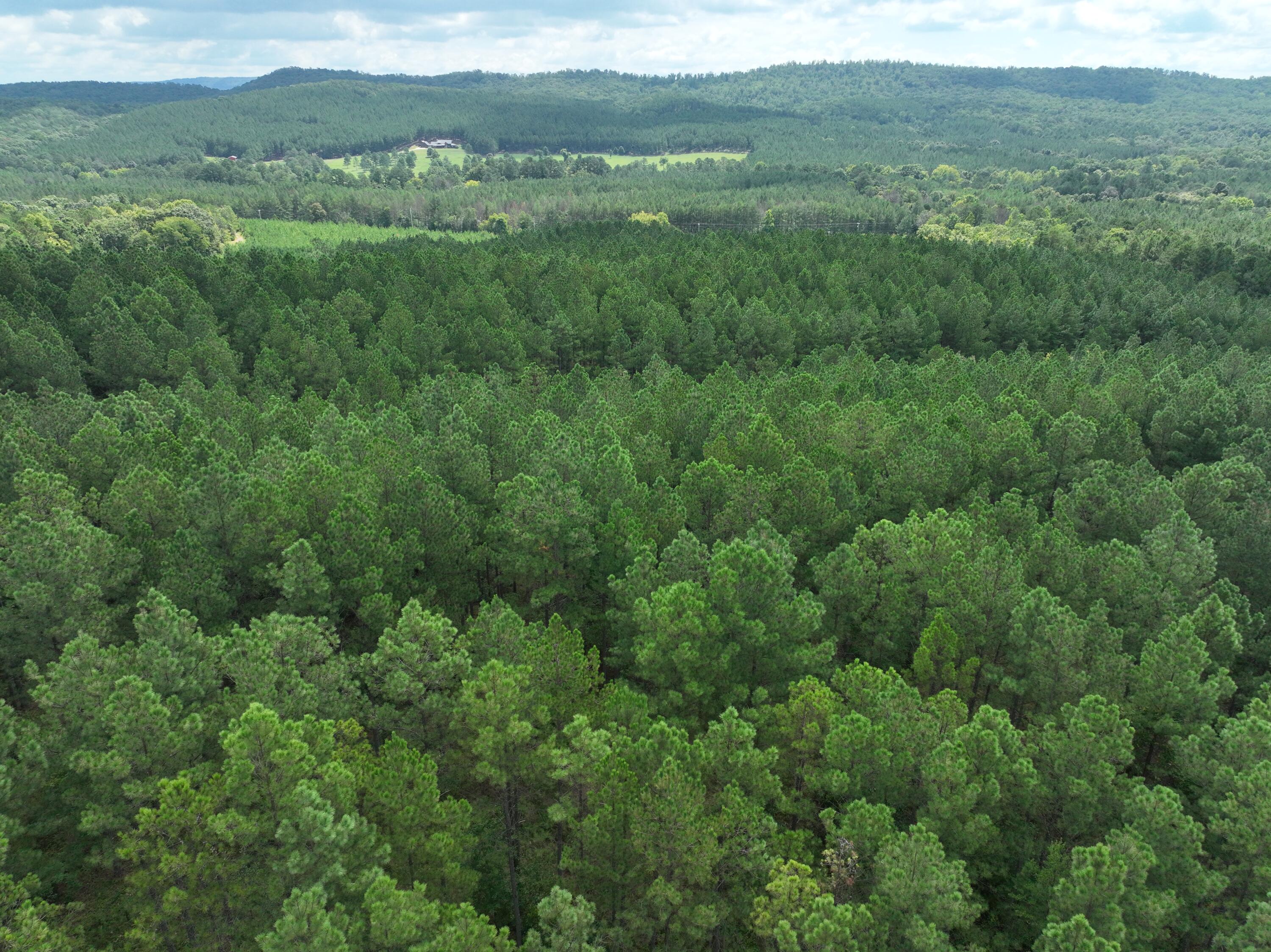 0 Houston Valley Road Ringgold, GA 30736 - Photo 3 of 11 DJI_0417