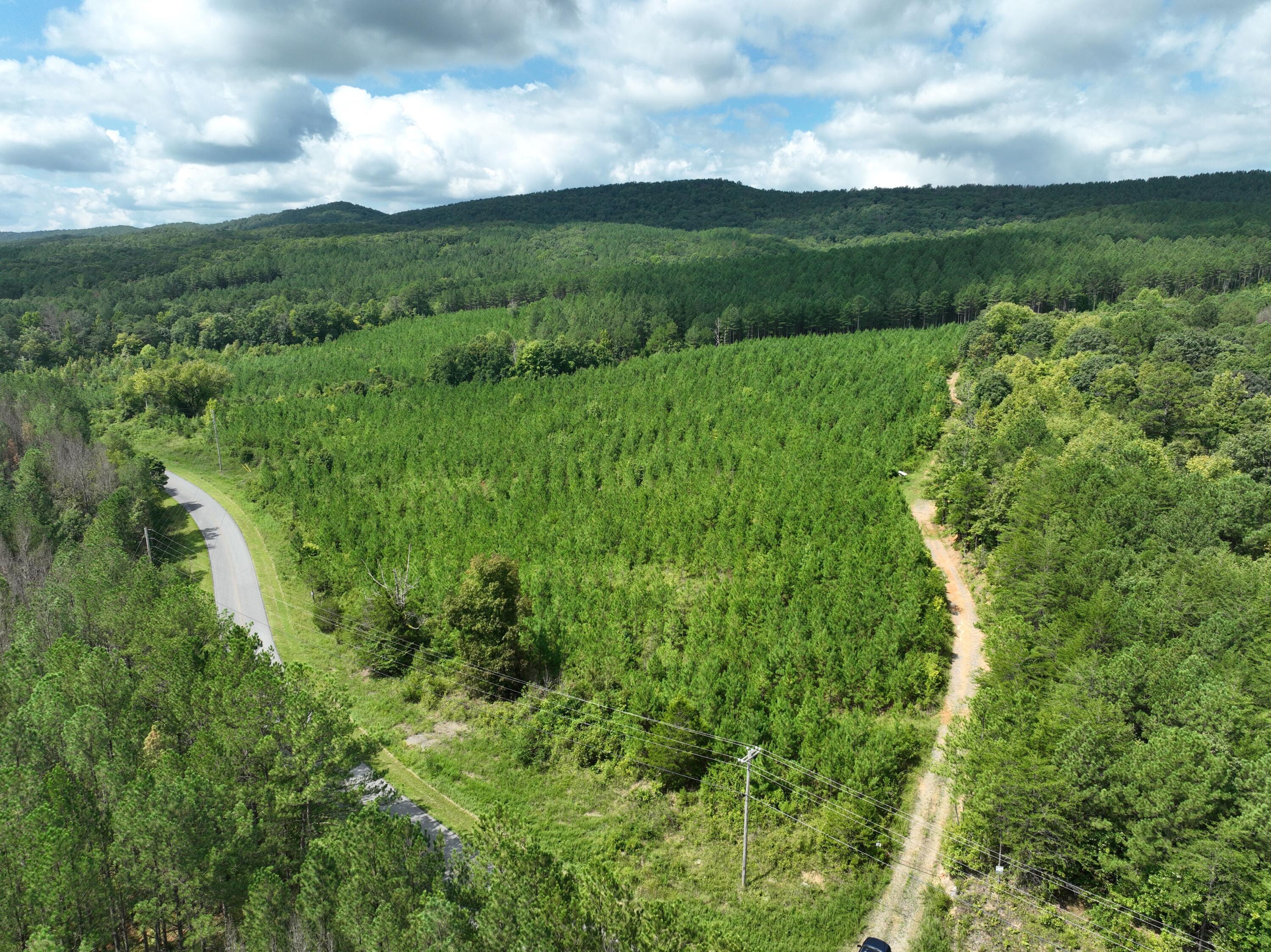 0 Houston Valley Road Ringgold, GA 30736 - Photo 4 of 11 DJI_0413