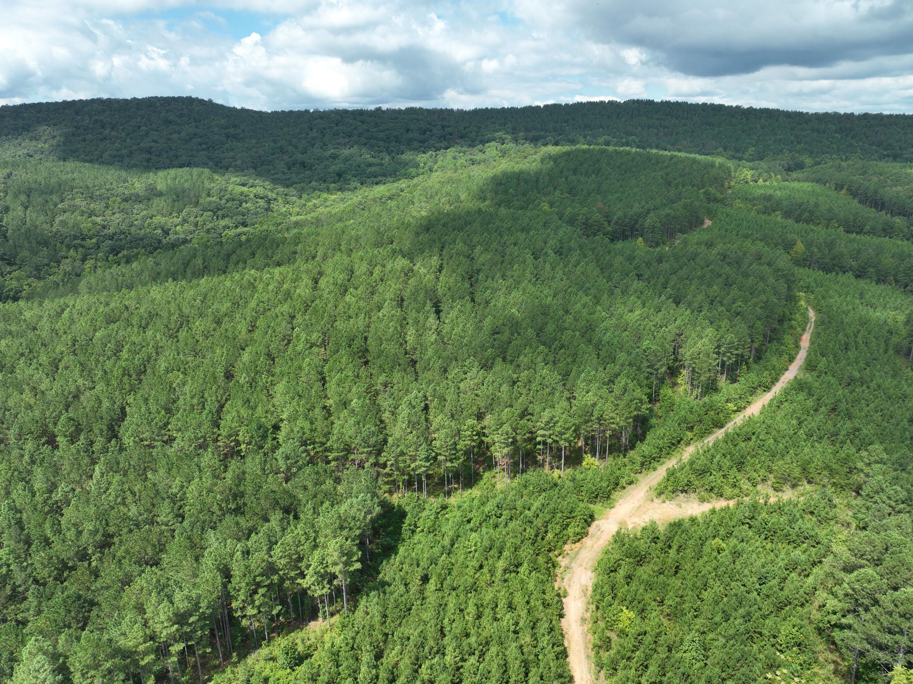 0 Houston Valley Road Ringgold, GA 30736 - Photo 6 of 11 DJI_0415