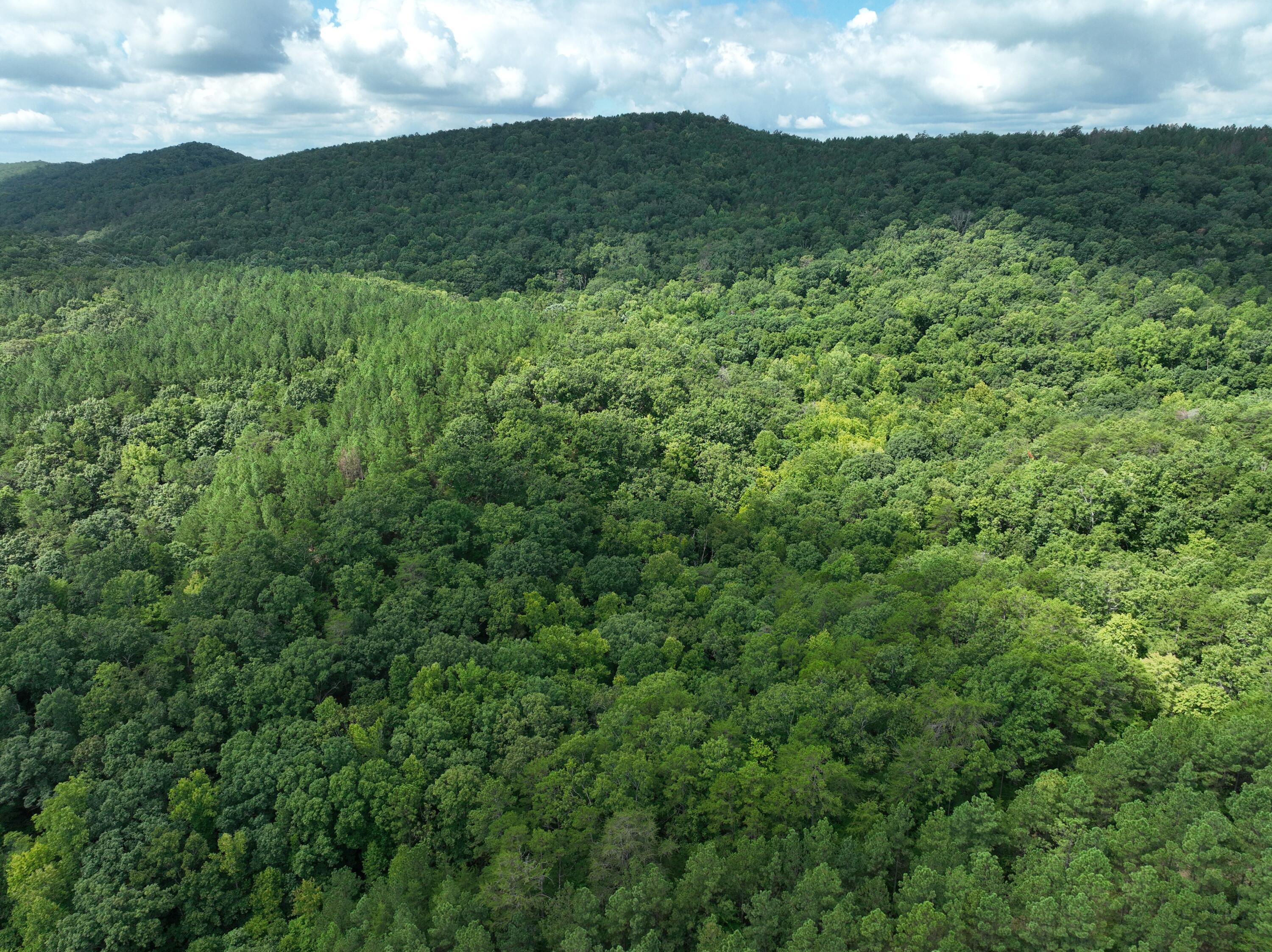 0 Houston Valley Road Ringgold, GA 30736 - Photo 7 of 11 DJI_0416
