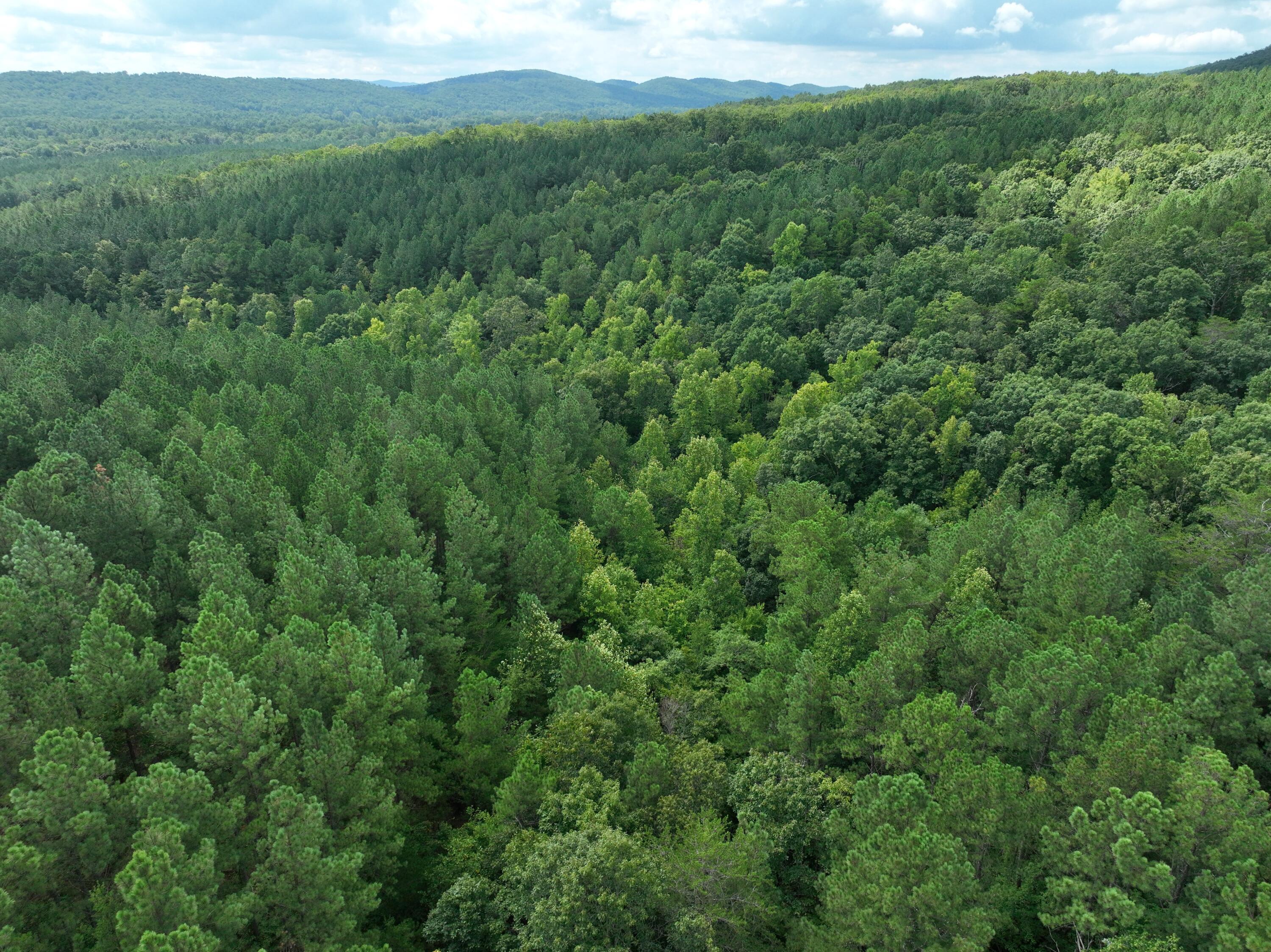 0 Houston Valley Road Ringgold, GA 30736 - Photo 8 of 11 DJI_0418