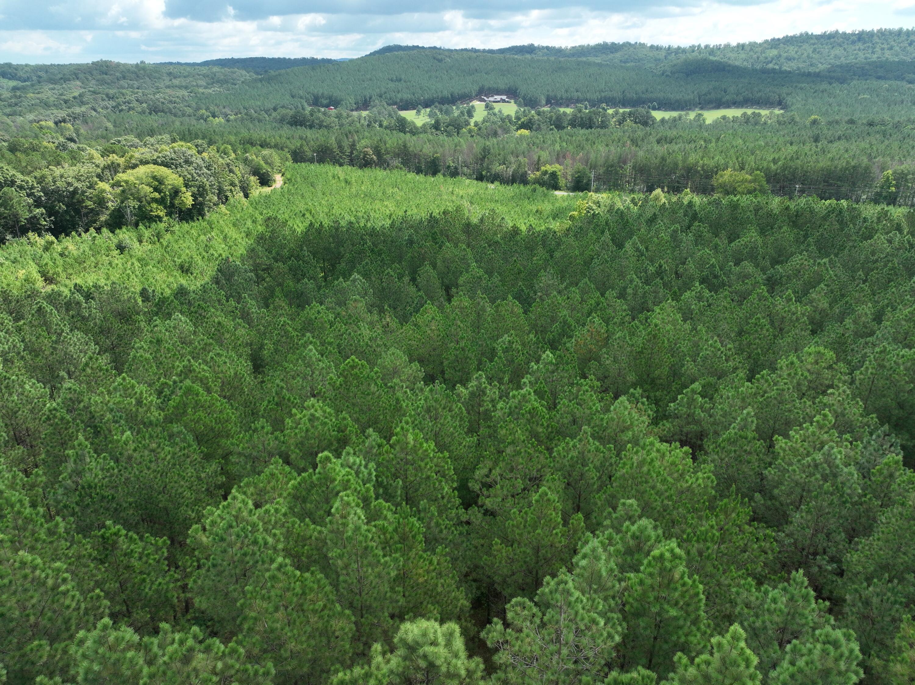 0 Houston Valley Road Ringgold, GA 30736 - Photo 9 of 11 DJI_0419