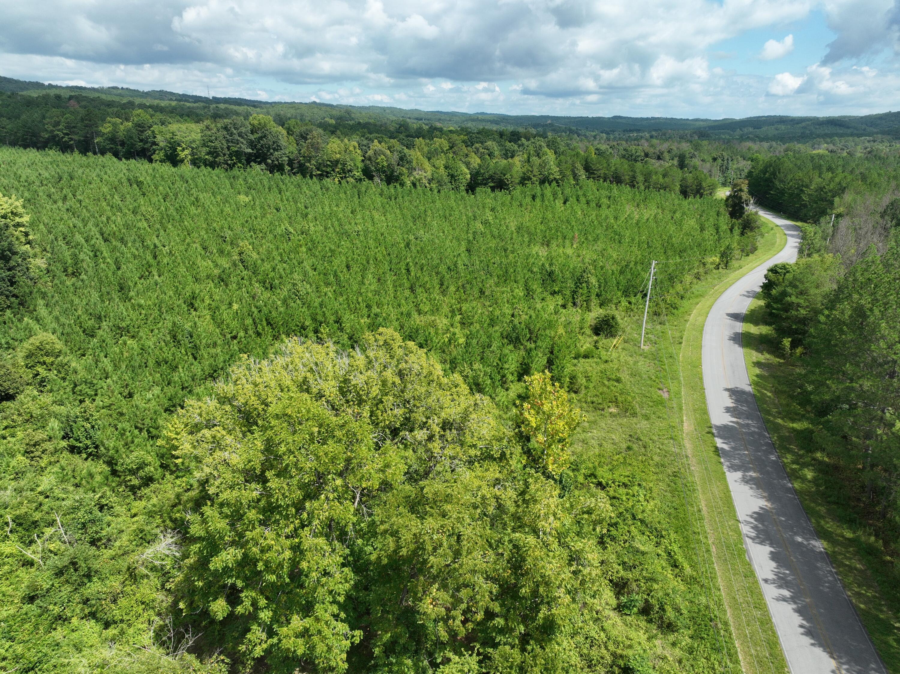 0 Houston Valley Road Ringgold, GA 30736 - Photo 10 of 11 DJI_0420