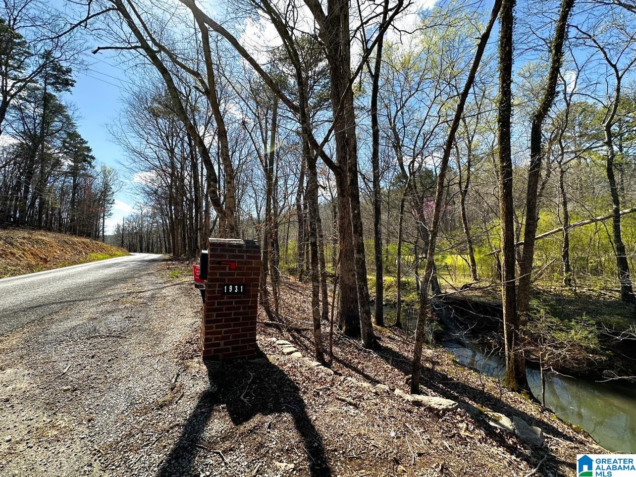1931 Red Valley Road Remlap, AL 35133 - Photo 11 of 17