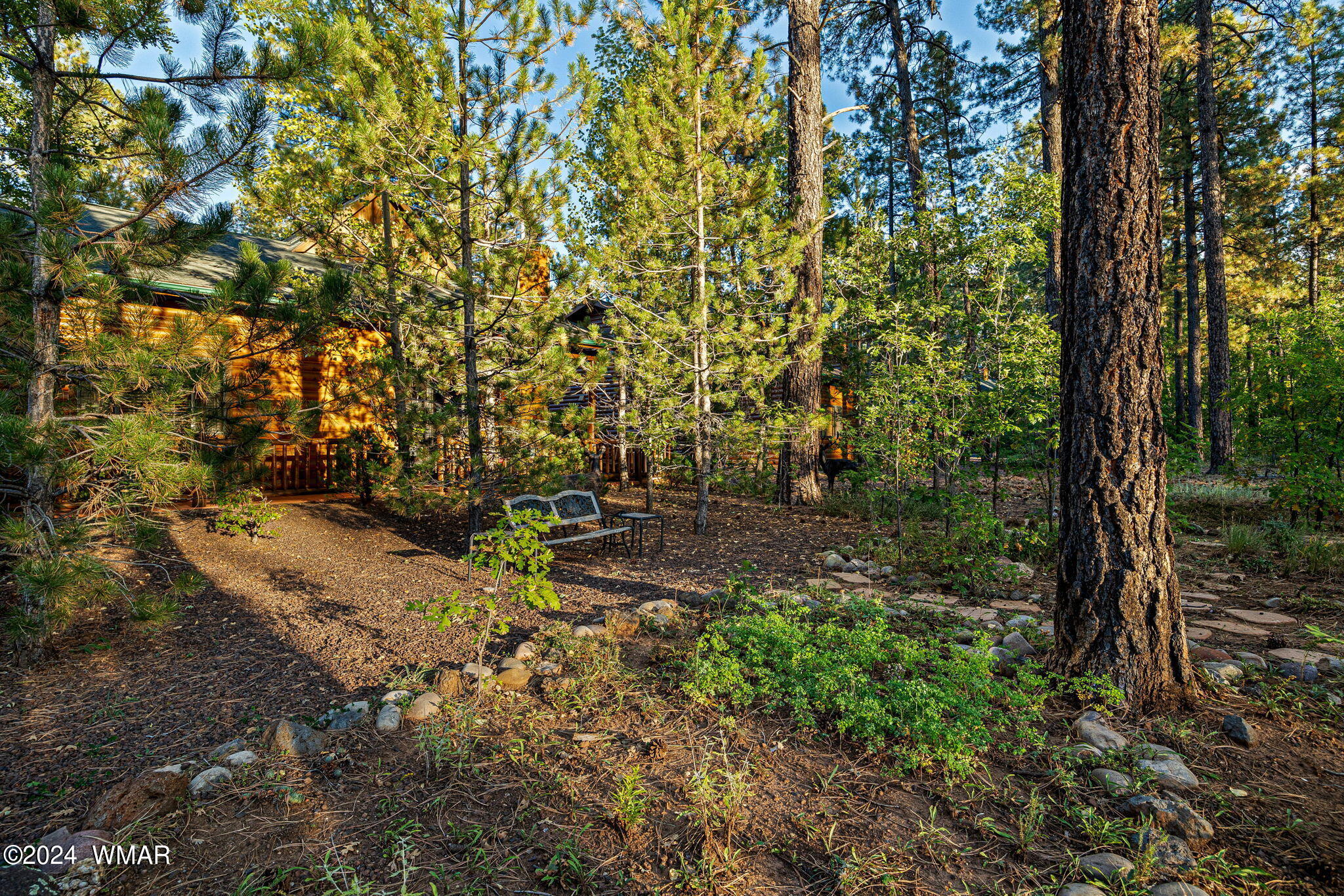 3052 Timber Line Road Pinetop, AZ 85935 - Photo 35 of 43 Back of home surrounded by trees