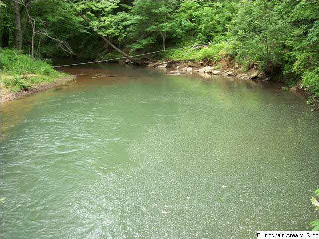 Narrows Road, Unit 168 Remlap, AL 35133 - Photo 5 of 21