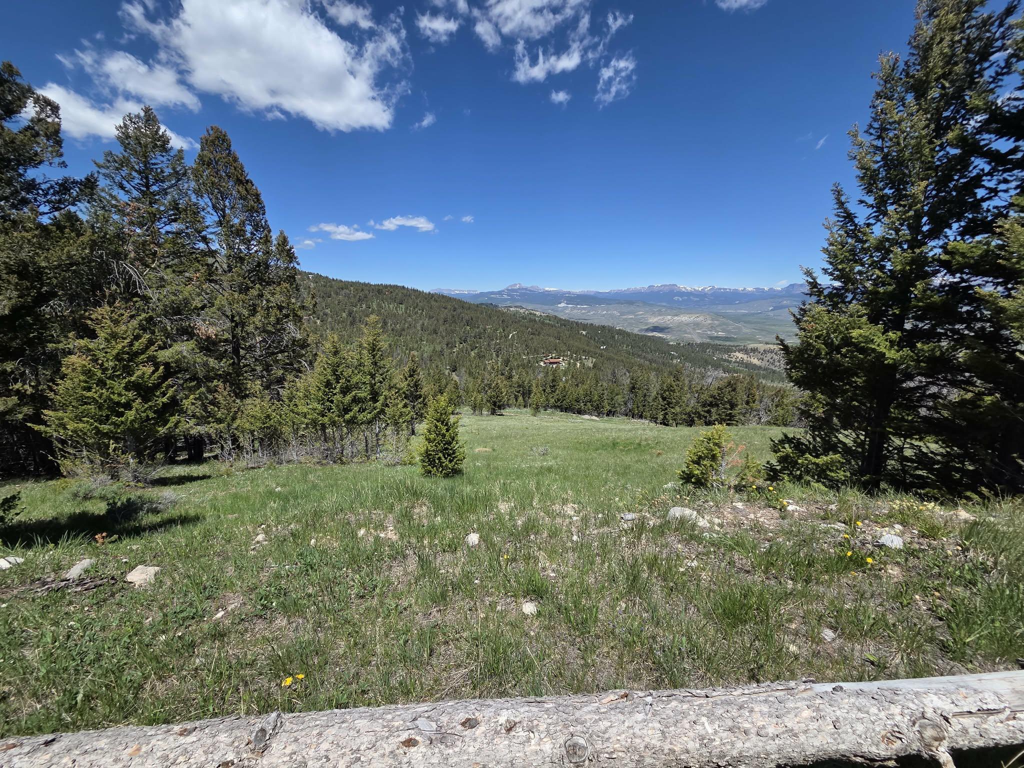 3 Starry Way Dubois, WY 82513 - Photo 11 of 30