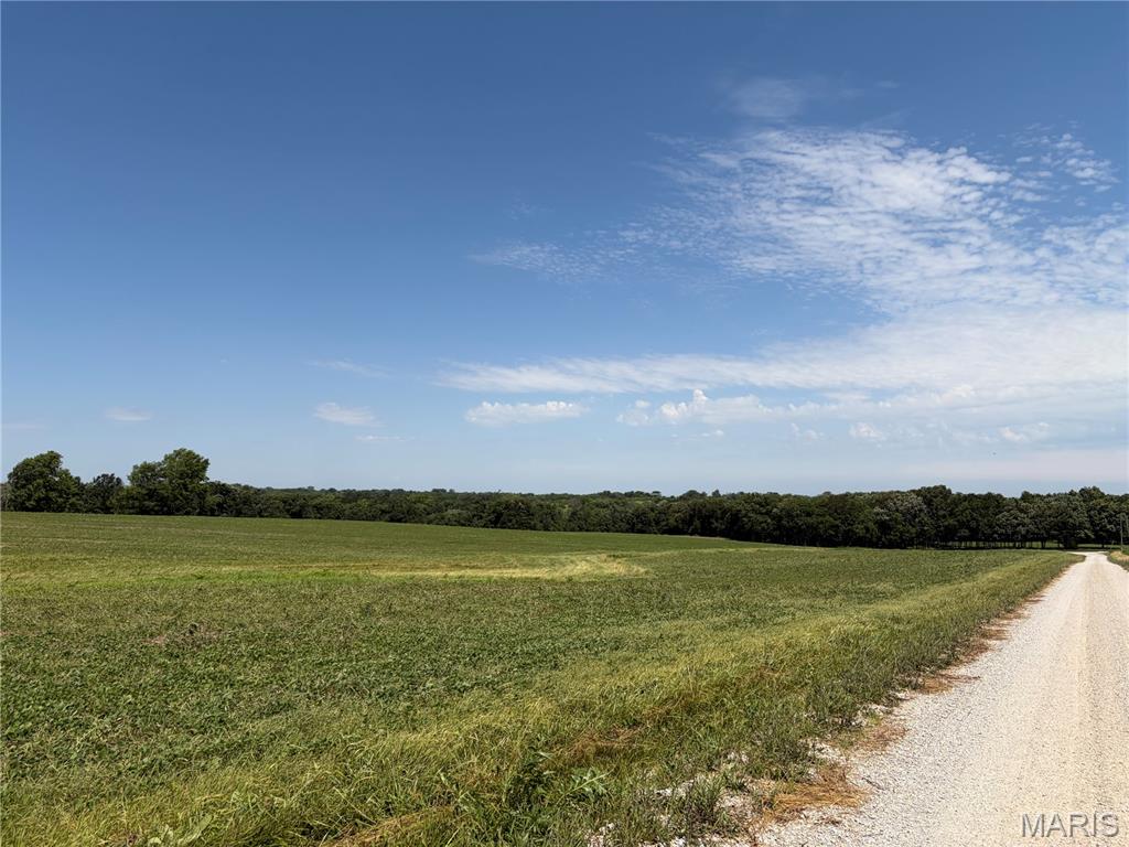 96.59 Acres Rock Road Bellflower, MO 63333 - Photo 19 of 21