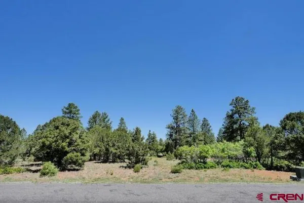 $85,000 | 1640 Marmot Drive, Ridgway, CO 81432