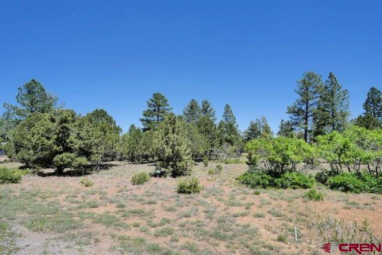 1640 Marmot Drive Ridgway, CO 81432 - Photo 29 of 42