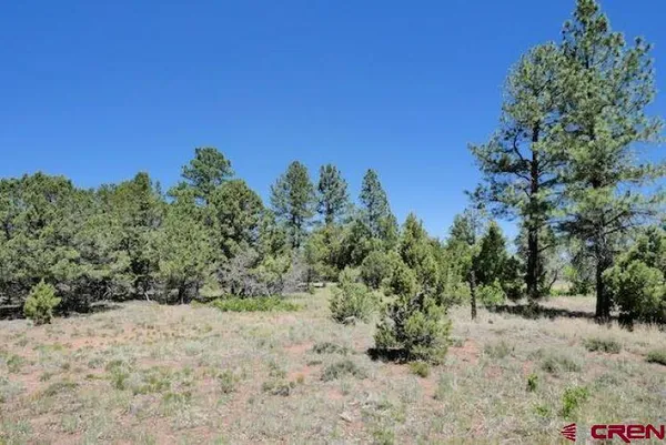 $85,000 | 1640 Marmot Drive, Ridgway, CO 81432