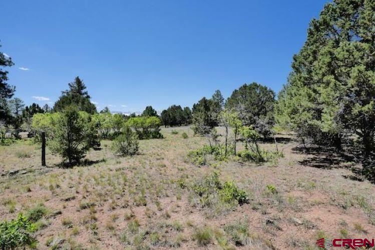 1640 Marmot Drive Ridgway, CO 81432 - Photo 31 of 42