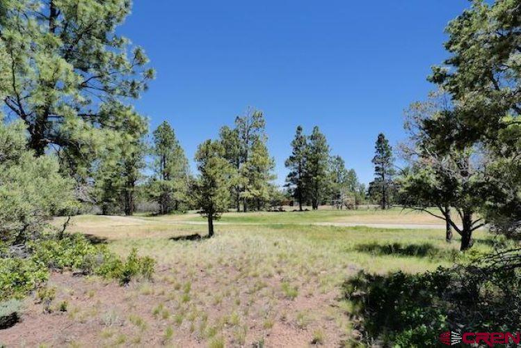 1640 Marmot Drive Ridgway, CO 81432 - Photo 33 of 42