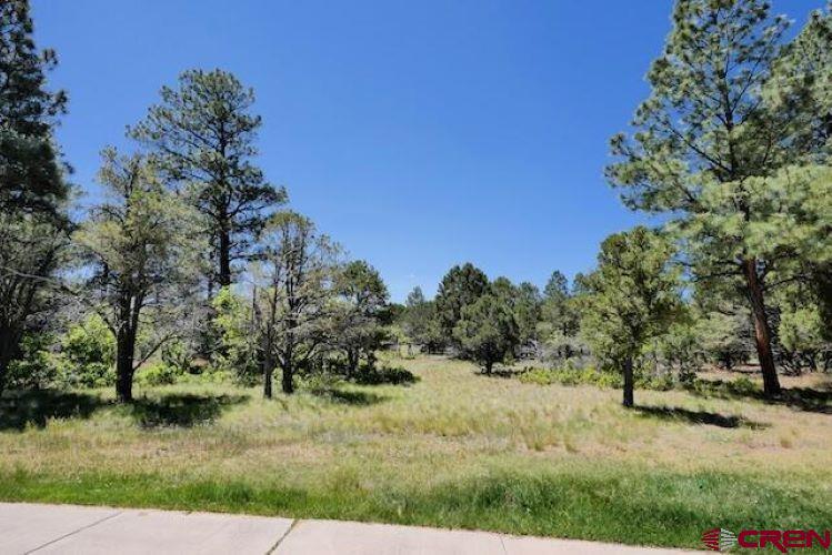 1640 Marmot Drive Ridgway, CO 81432 - Photo 36 of 42