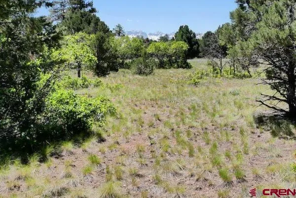 $85,000 | 1640 Marmot Drive, Ridgway, CO 81432