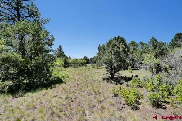 $85,000 | 1640 Marmot Drive, Ridgway, CO 81432