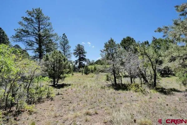$85,000 | 1640 Marmot Drive, Ridgway, CO 81432