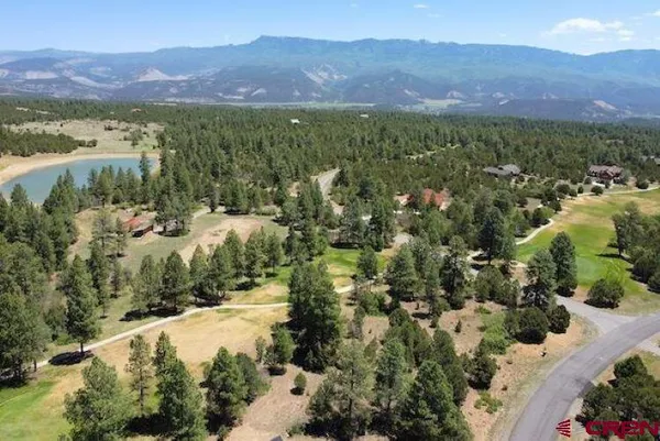 an aerial view of residential houses with outdoor space and trees