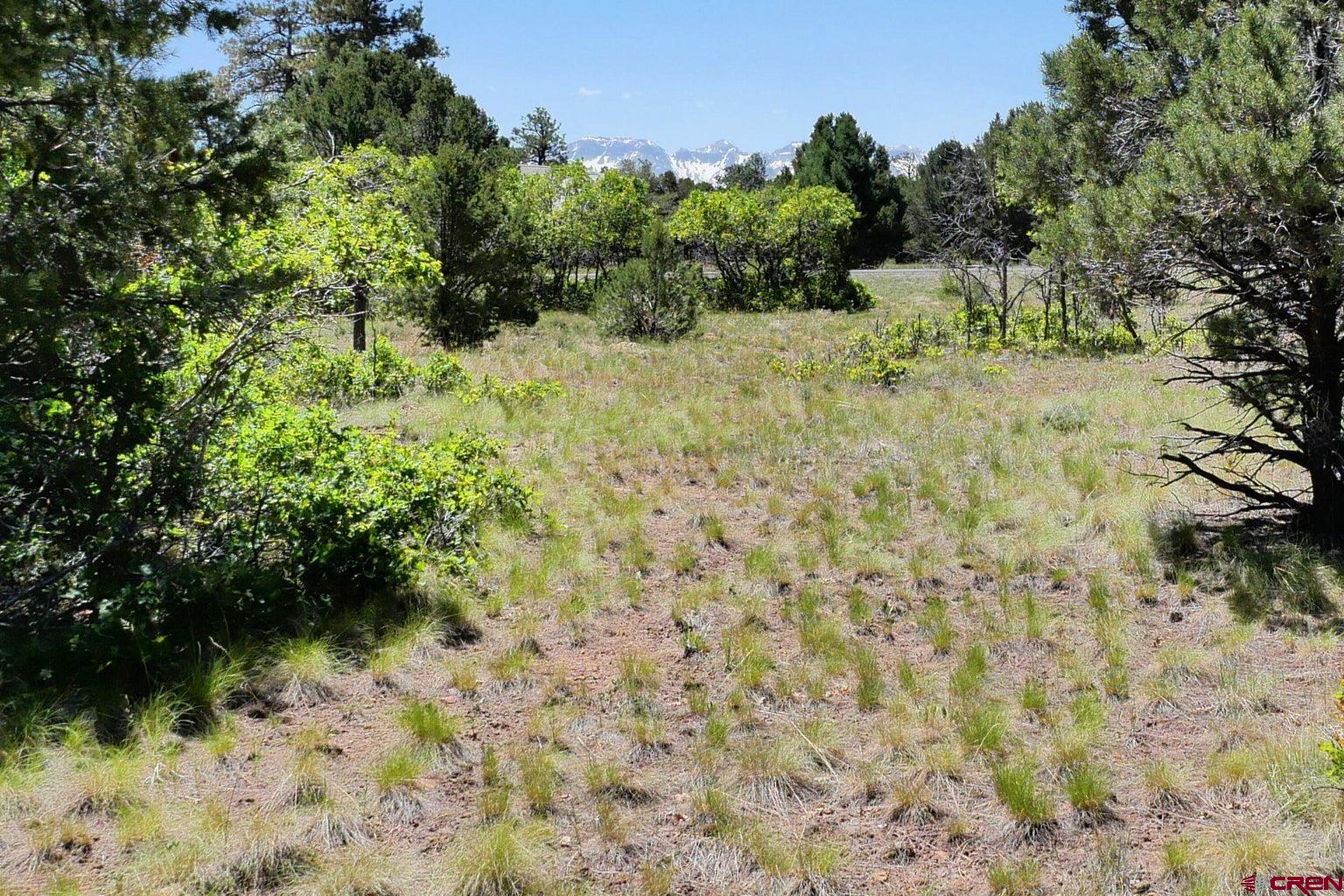 1640 Marmot Drive Ridgway, CO 81432 - Photo 42 of 42 a view of a yard with plants and a tree