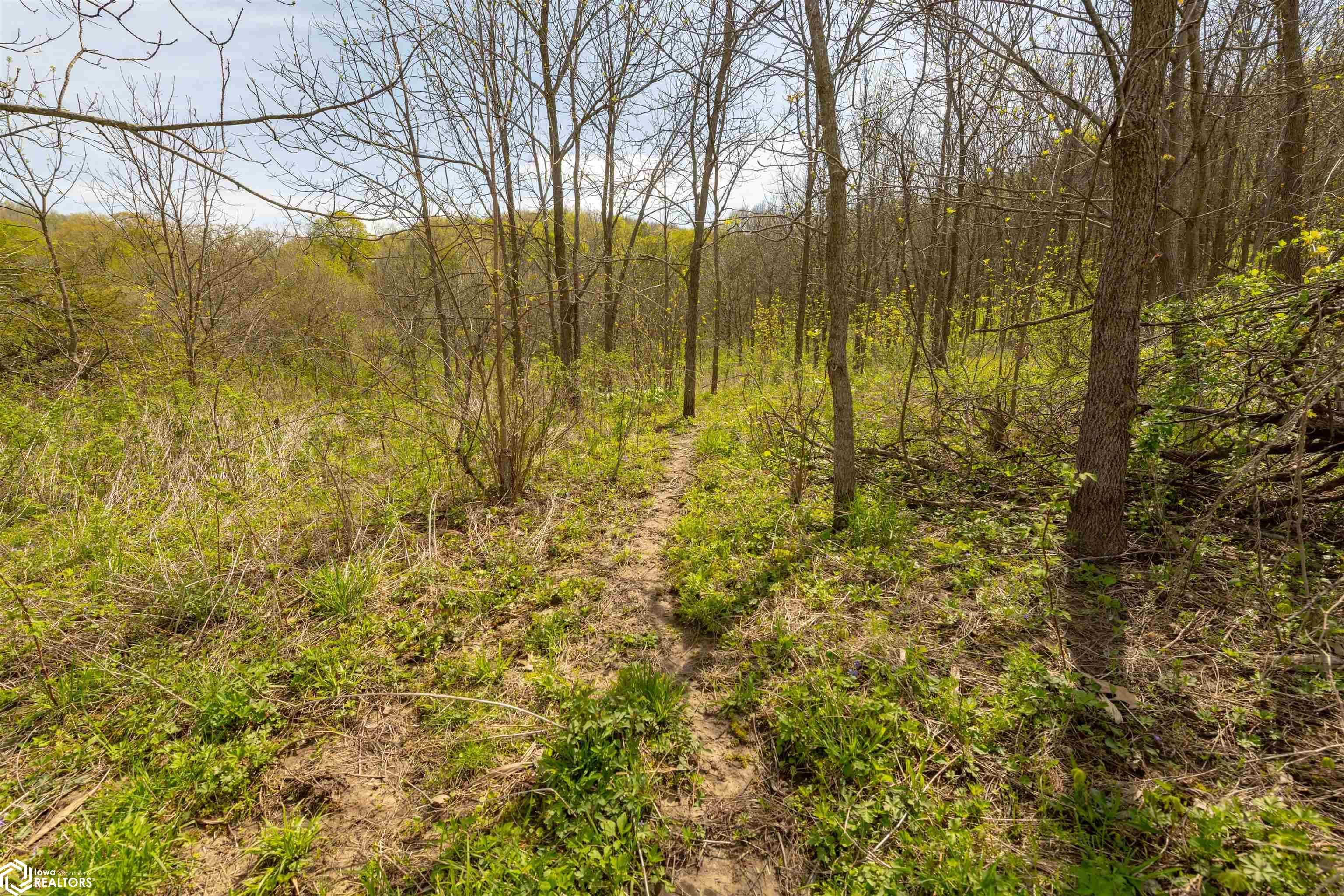 38346 Cherry Valley Road Guttenberg, IA 52052 - Photo 69 of 75 Gallery Image 69