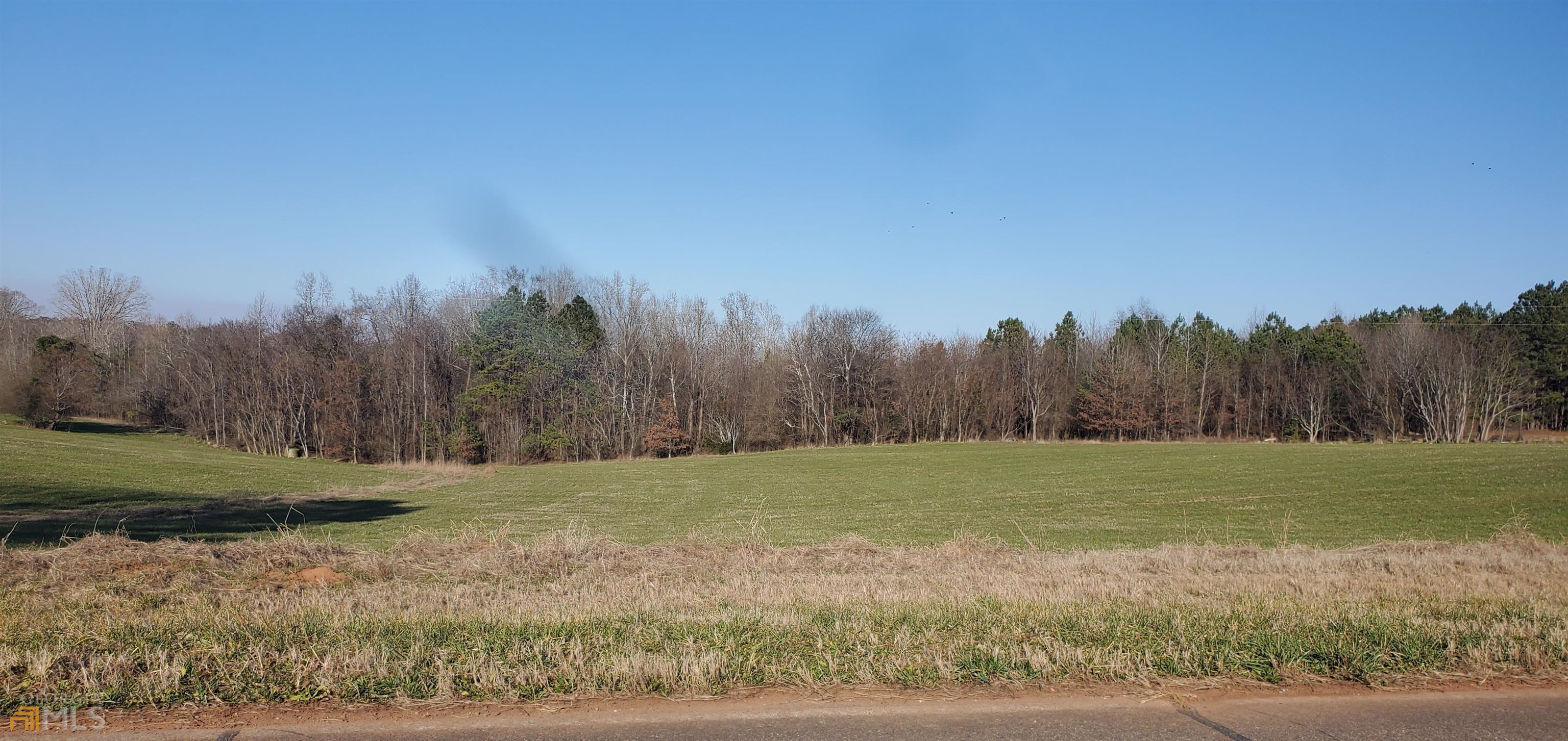 1140-parcel C Holstein Road Buckhead, GA 30625 - Photo 1 of 1 a view of a field with trees in background
