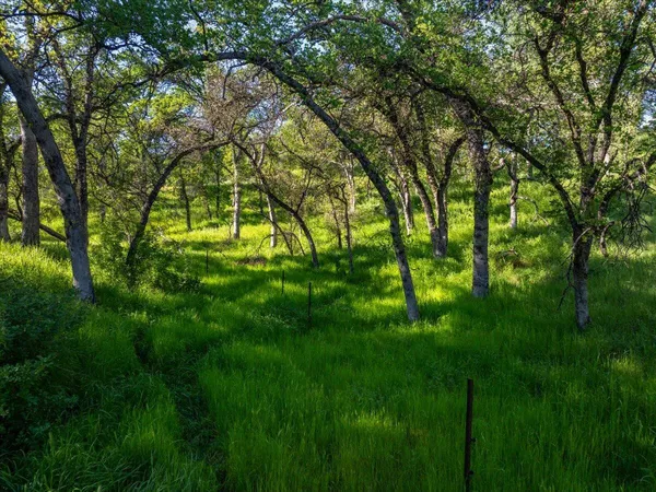 $669,900 | 14945 Caylor Lane, Red Bluff, CA 96080