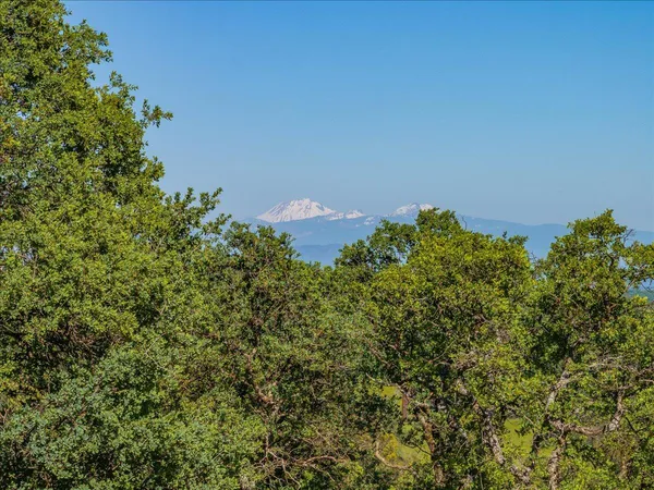 $669,900 | 14945 Caylor Lane, Red Bluff, CA 96080