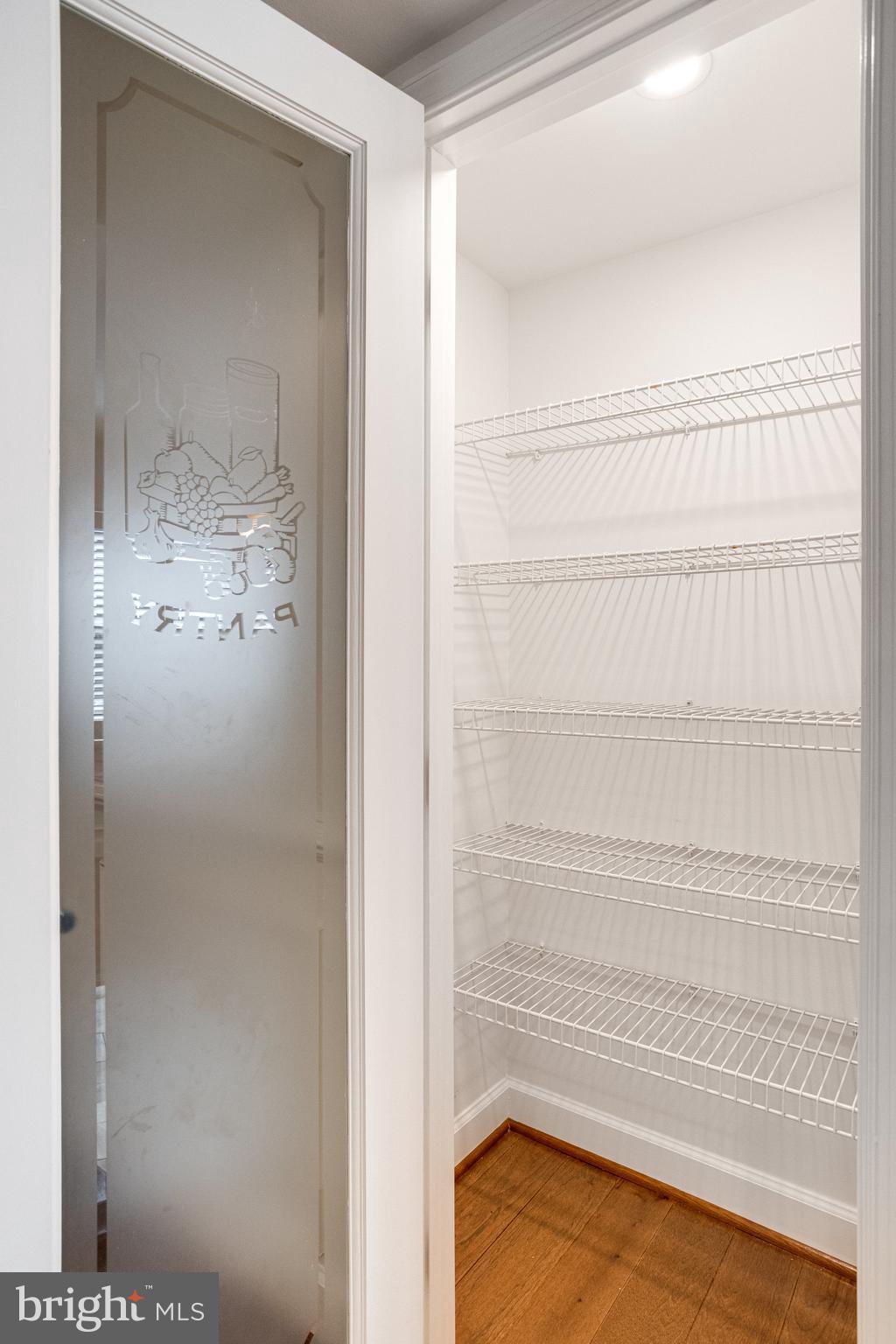 8325 Lindside Way Springfield, VA 22153 - Photo 18 of 63 Pantry features lighting and generous shelf space