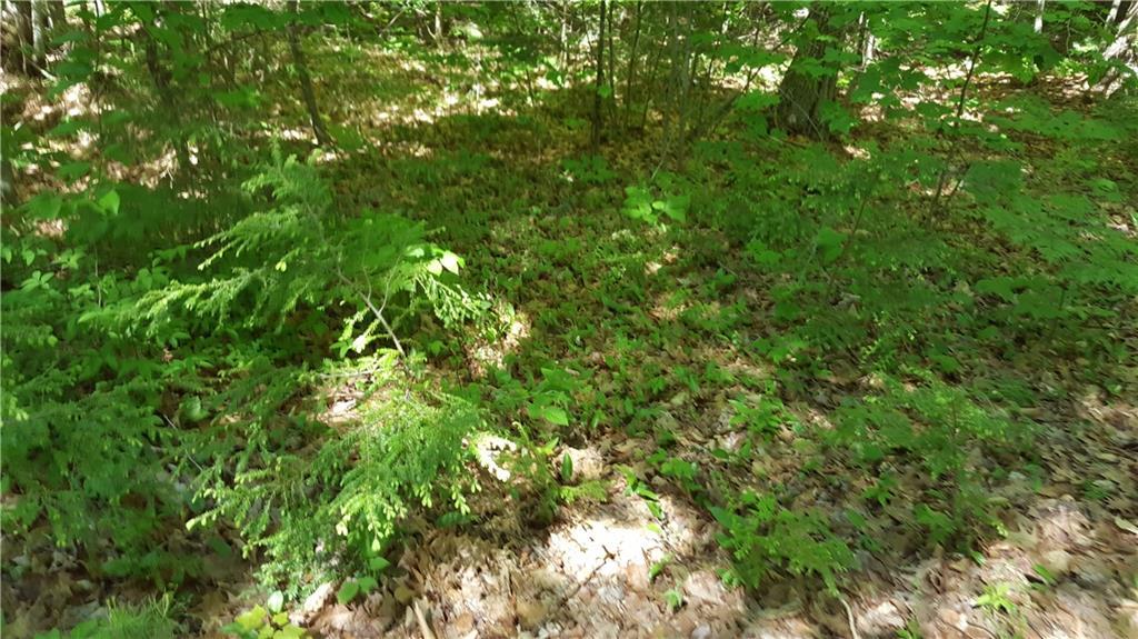 0 Sheepscot Road Newcastle, ME 04553 - Photo 5 of 9 Photo